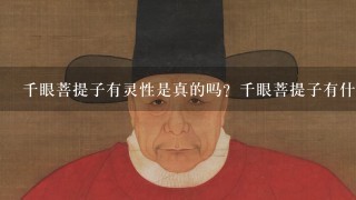 菩提子種子_珍貴菩提種子圖片_哪種菩提子最珍貴