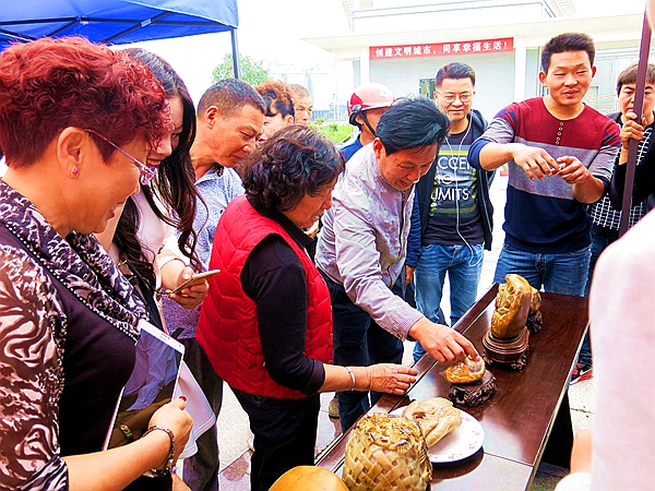 出售奇石的都是些什么網(wǎng)_出售奇石需要注意什么_出售奇石