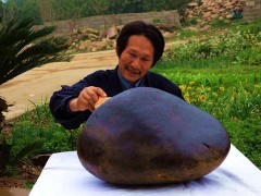 奇石達人孫軍24載賣奇石25000多個