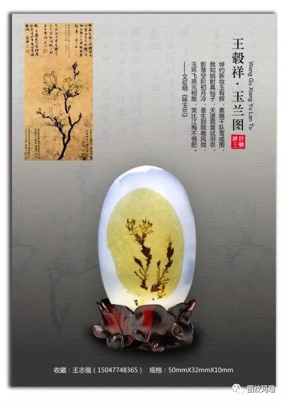 觀賞石奇石網_觀賞石奇石_奇石奇觀