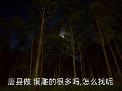 銅雕廠家,銅佛像生產廠家哪家好?看這里!