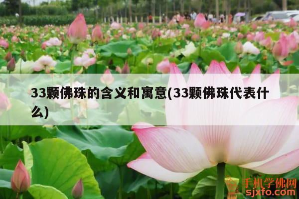 佛珠手串多少顆最好_手串佛珠有什么講究_佛珠手串好處