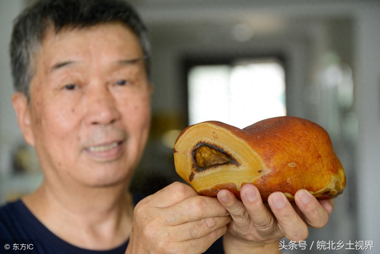 鑒定奇石專家_奇石鑒定_鑒定奇石標準收費多少錢