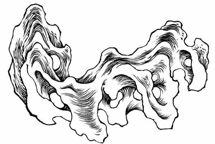 文字奇石_奇石文字石的價值_奇石文字石作腳石