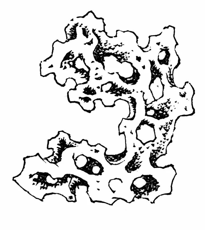 奇石文字石的價值_文字奇石_奇石文字石作腳石