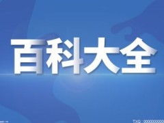 沉香樹苗哪個品種比較好？瑞香科沉香屬手串