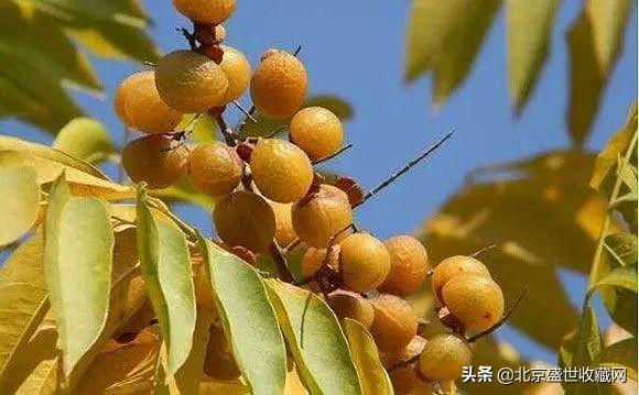 菩提手串有什么寓意_菩提手串好嗎_菩提手串有什么好處