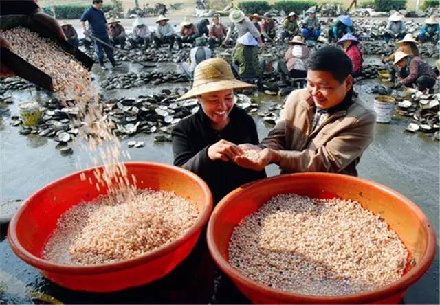 蜜蠟批發(fā)價(jià)_中國(guó)最大蜜蠟批發(fā)市場(chǎng)_蜜蠟批發(fā)貨源
