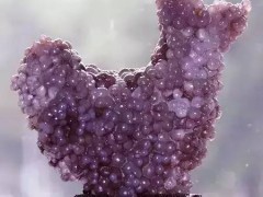 十大奇石 中國最貴的十大奇石圖片及價格-第