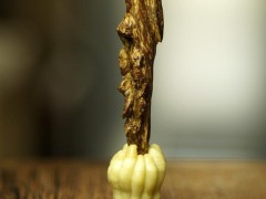 雞骨香、雞舌香都是指沉香嗎？