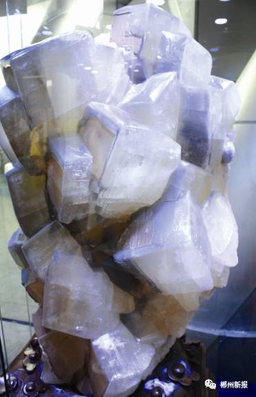 天然圖案奇石最值錢_純天然奇石_天然圖案奇石