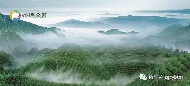 沉香茶的口感怎么樣_沉香茶的價位_沉香茶好喝嗎