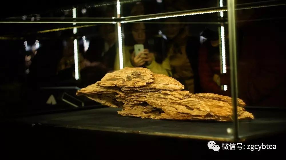 沉香茶好喝嗎_沉香茶的口感怎么樣_沉香茶的價位