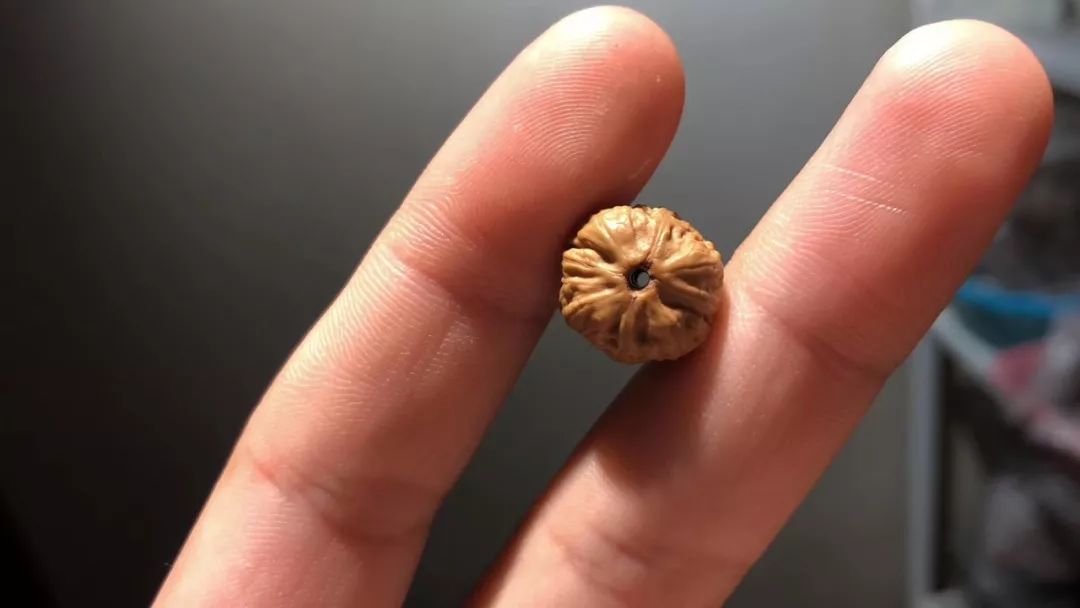 核桃手串排名_核桃手串什么品種最貴_核桃手串什么品種有盤玩價值