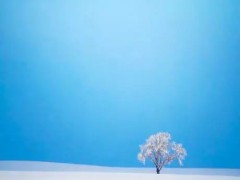 佛教知識｜佛教中的“菩提”是什么意思