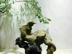 安徽靈璧石的價值與簡介!  以石為媒, 交八