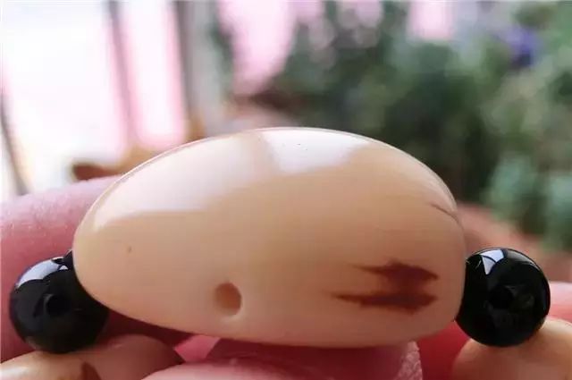 菩提子有幾種_菩提種子有什么寓意和象征_菩提種子有毒嗎