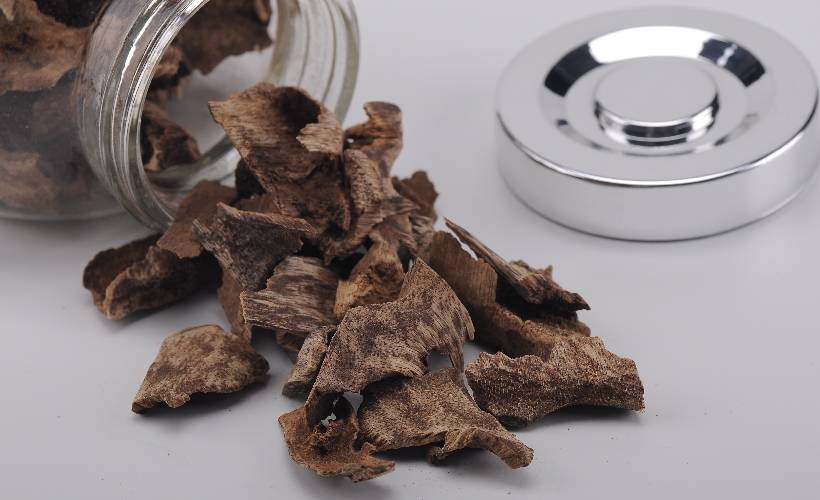 佩戴沉香有什么好處_佩戴沉香的好處_佩戴好處沉香有什么功效