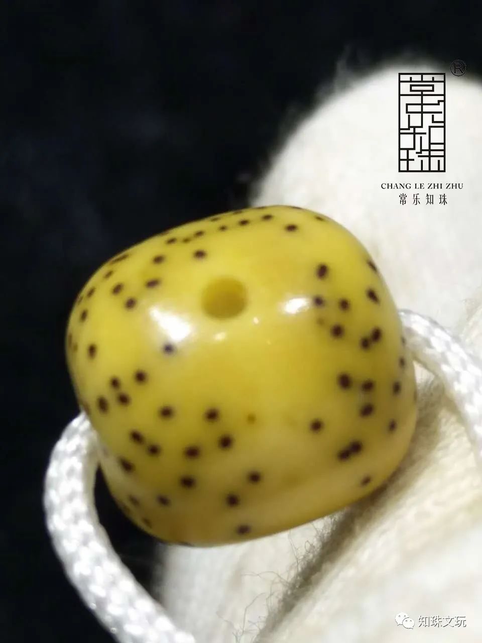 如何盤菩提_菩提盤玩手法_菩提盤玩變色過程圖