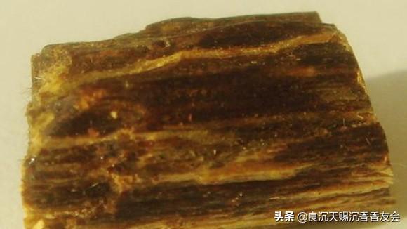 奇楠沉香透光嗎_奇楠沉香好聞嗎_蟲漏沉香和奇楠沉香哪個(gè)好