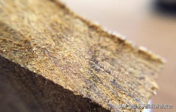 蟲漏沉香和奇楠沉香哪個(gè)好_奇楠沉香好聞嗎_奇楠沉香透光嗎