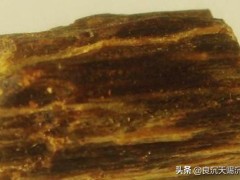 中國版奇楠和真正的奇楠質感區別