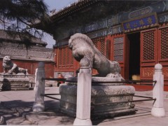 北京留存的元代石獅造型獨特：頑皮、塌腰、踩銀錠