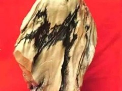 近年成交的一些高價(jià)奇石！