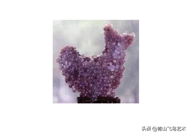 黃山奇石有幾種奇石_奇石之首_奇石首屈一指