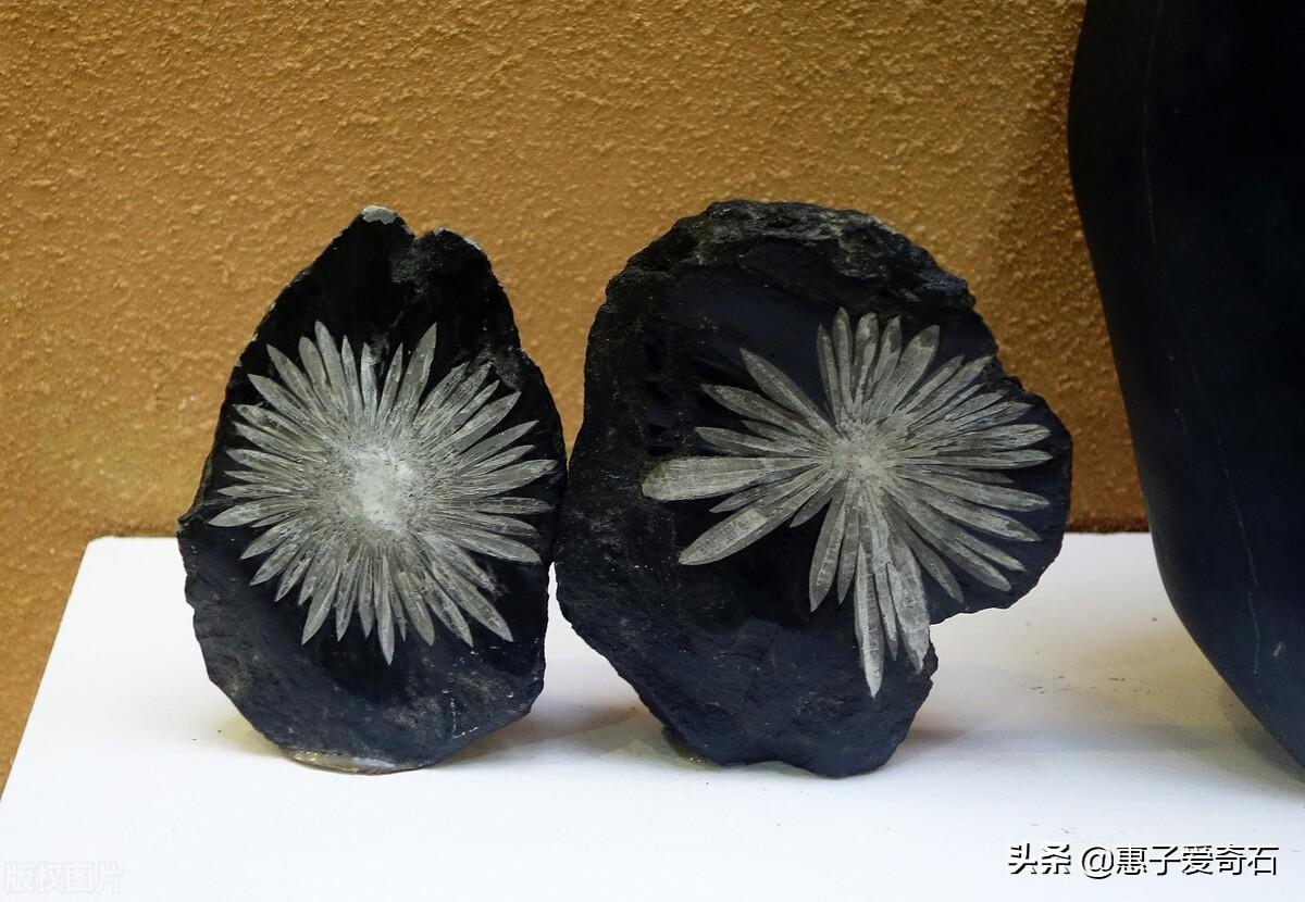 奇石現在奇石不值錢了_奇石現在收藏熱度高嗎_現在的奇石