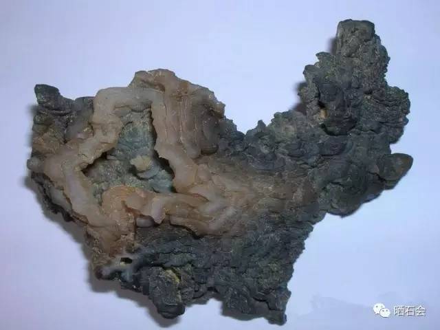 中國奇石門戶_中國奇石官網_中國奇石網