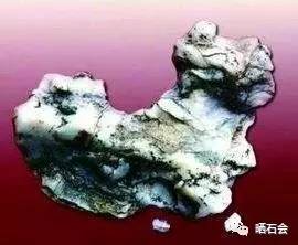 中國奇石網_中國奇石門戶_中國奇石官網