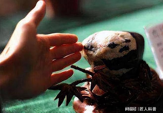 有奇石怎么賣出呢_手里有奇石怎樣賣出去_出手奇石去哪家