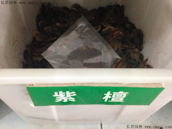 紫檀木價(jià)格一斤多少_紫檀木價(jià)格一斤多少_紫檀木價(jià)格一斤多少