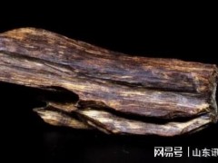 25萬一克？“老木頭”賣了3150萬創(chuàng)新高，奇楠究竟長啥樣
