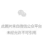 玉雕貔貅和蝙蝠什么寓意_玉雕把件貔貅_玉雕貔貅擺件圖片