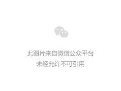 玉雕神獸——貔貅