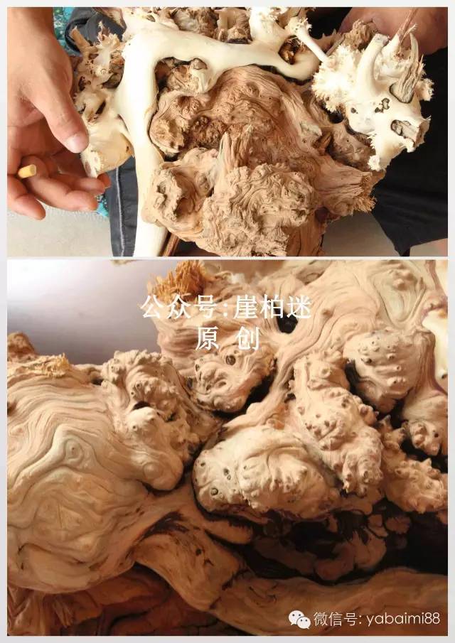 盤玩崖柏手串_崖柏手串盤玩視頻教程_崖柏手把件怎么盤玩