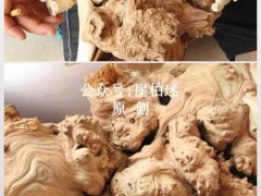 崖柏瘤子手把件制作全過程！！