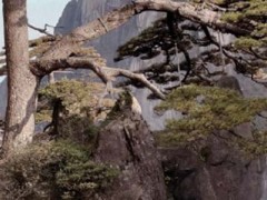 一年級黃山奇石課文