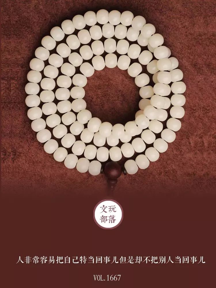 菩提根是染色的還是天然的_什么是菩提根_菩提根是什么植物的種子