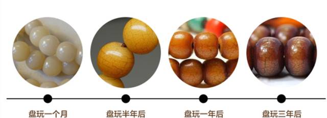 菩提根是染色的還是天然的_菩提根是什么植物的種子_什么是菩提根