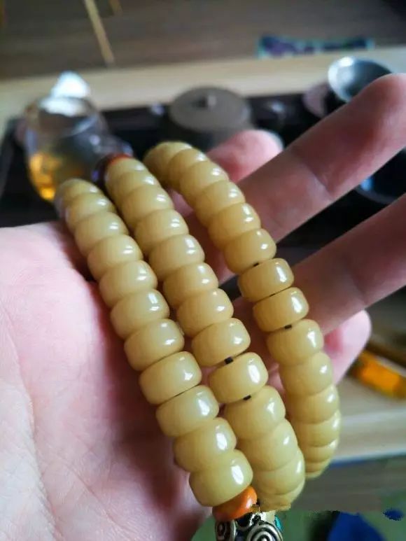什么是菩提根_菩提根是什么植物的種子_菩提根是染色的還是天然的