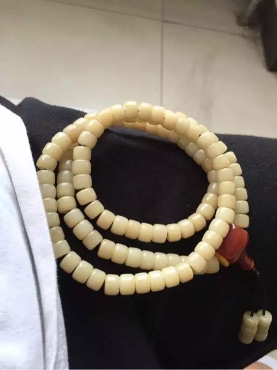 菩提根是什么植物的種子_菩提根是染色的還是天然的_什么是菩提根