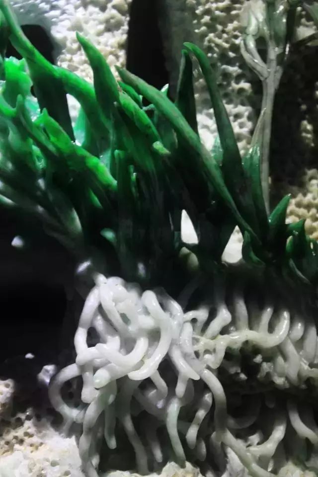 蓮花玉雕掛件_玉雕蓮花擺件_蓮花擺件玉雕圖片