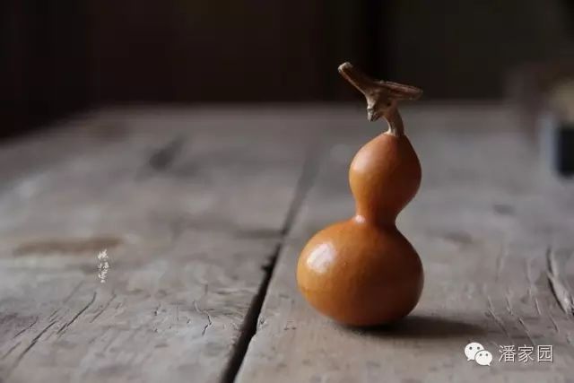 文玩小葫蘆_文玩兒葫蘆_文玩小葫蘆是什么品種
