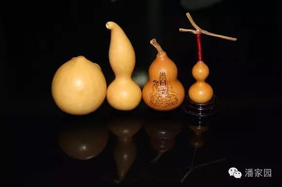 文玩小葫蘆_文玩兒葫蘆_文玩小葫蘆是什么品種