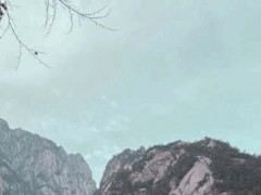 《黃山奇石》 教案設(shè)計