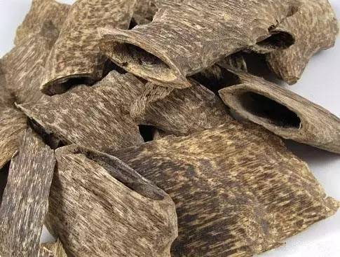 沉香是蟲漏料好還是樹丁料好_沉香是蟲漏好還是留疤好_沉香蟲漏是什么