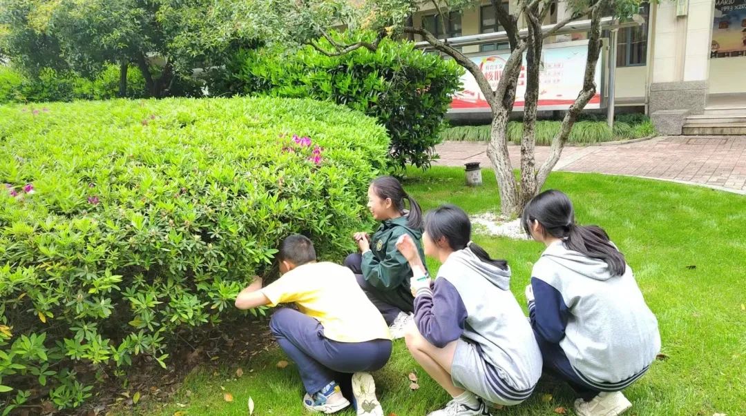 奇石感悟_奇石觀后感_觀奇石感言